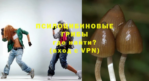 амф Абинск