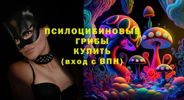 амф Абинск