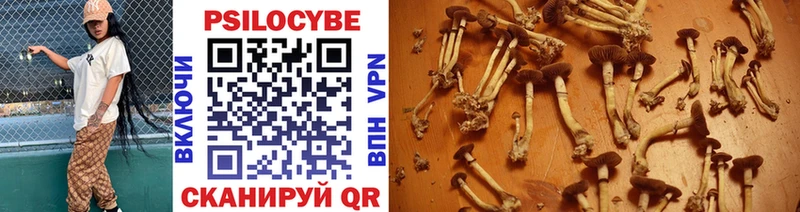 Галлюциногенные грибы Cubensis Абдулино